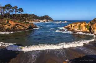 Point Lobos-3539.jpg Point Lobos-3539.jpg
